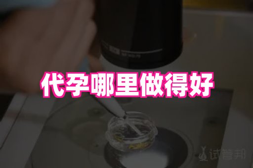 杭州助孕网站 2