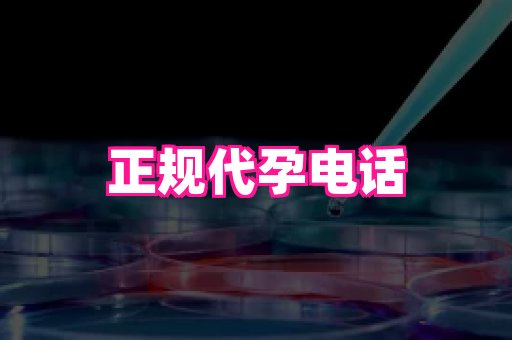 杭州助孕网站 4